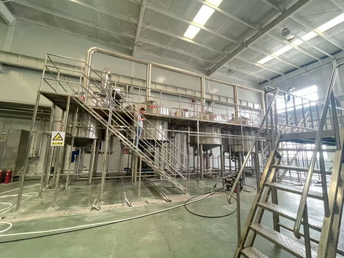甘肃精酿啤酒设备市场 如何选择年产2万吨的自动糖化设备供应商