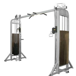 哑铃飞鸟 锻炼胸肌的经典双器械